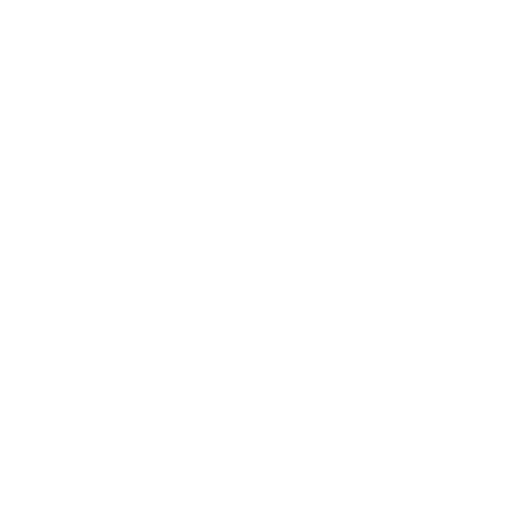 Bootls Logo White